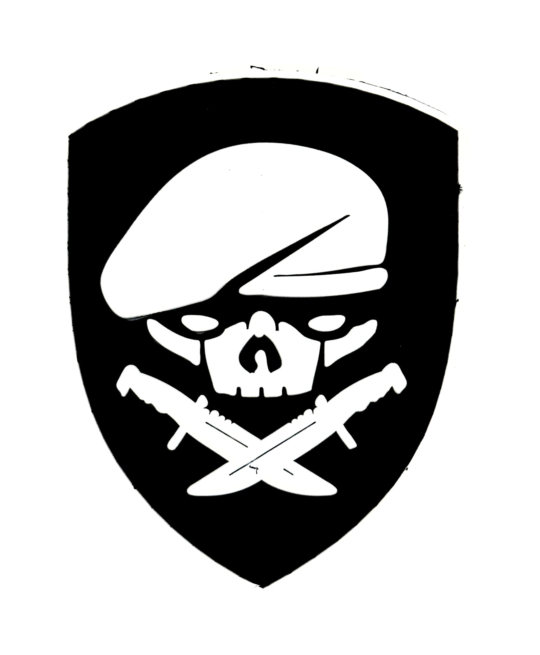 جمجمة المحارب